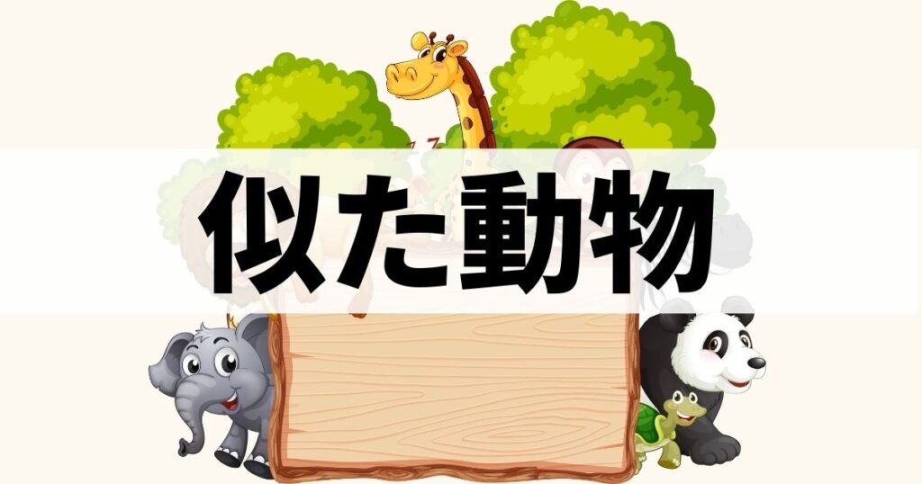 カテゴリー：その他動物