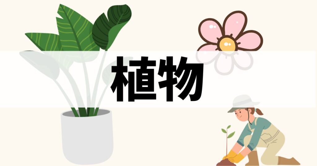 カテゴリー：植物