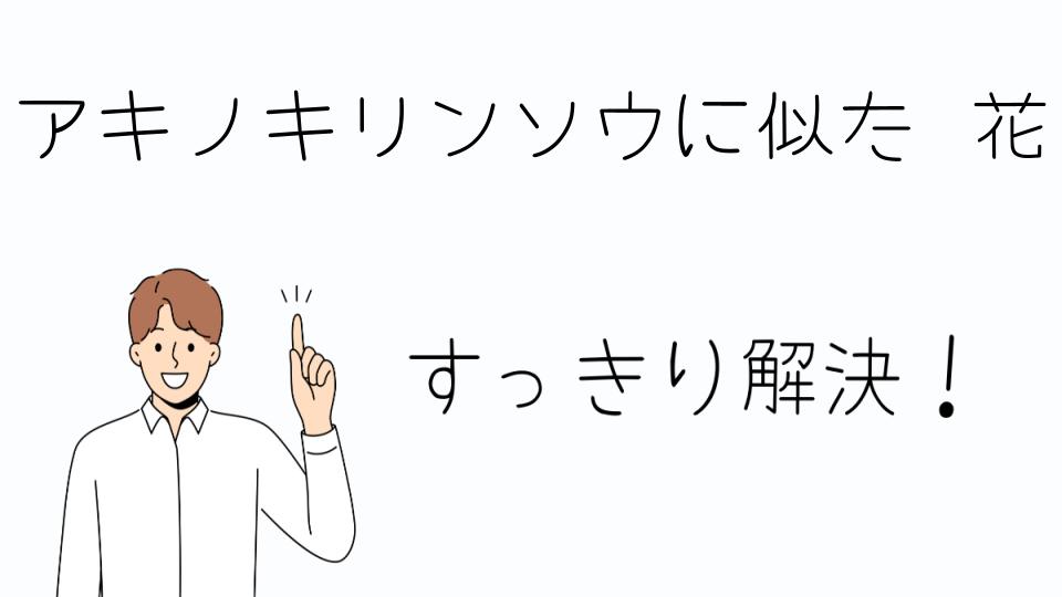 「アキノキリンソウに似た花の選び方と活用法」