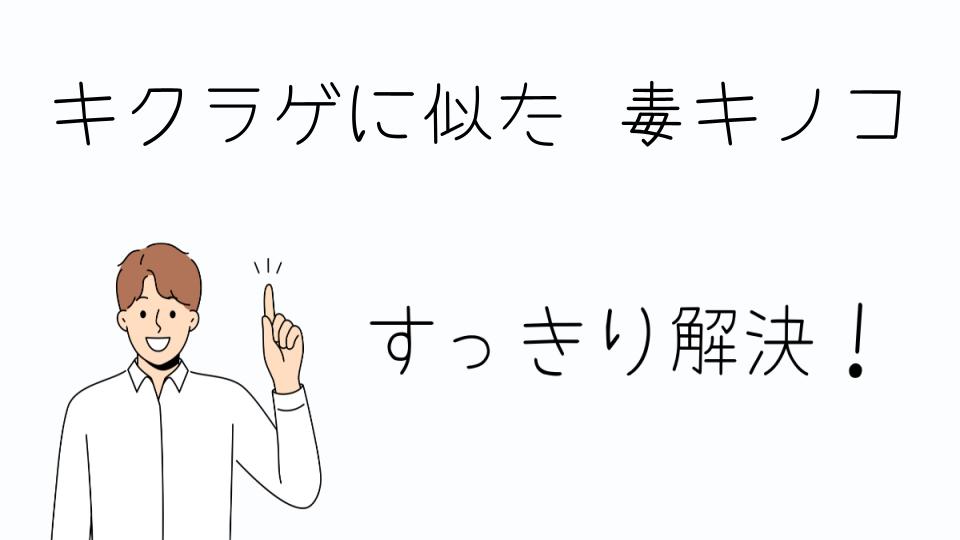 「キクラゲに似た毒キノコとその種類を解説」