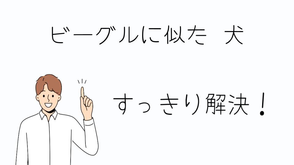 「ビーグルに似た犬を飼う際のポイント」