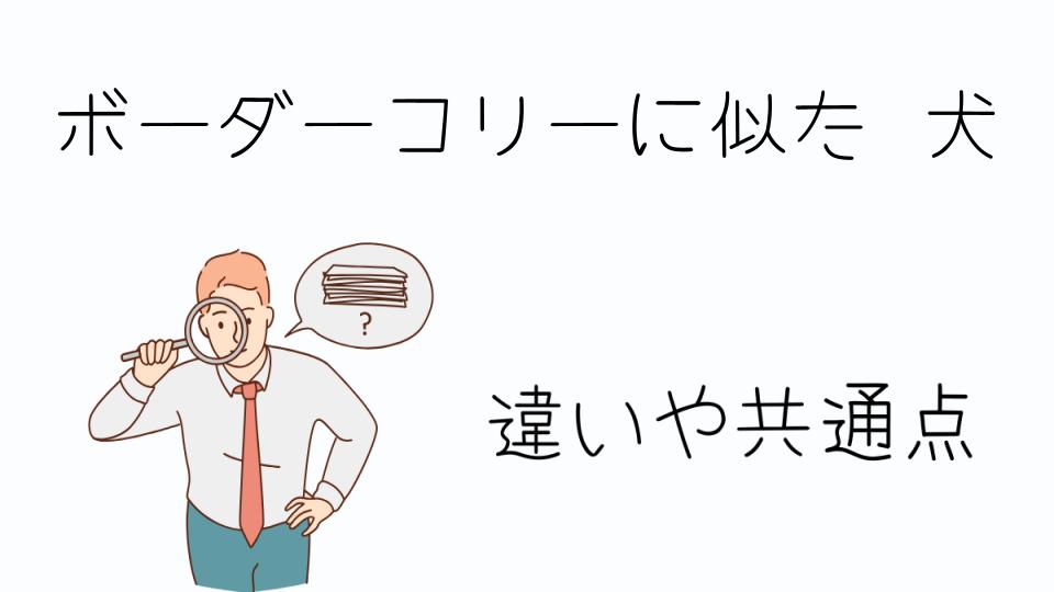 「ボーダーコリーに似た犬の魅力とは?」