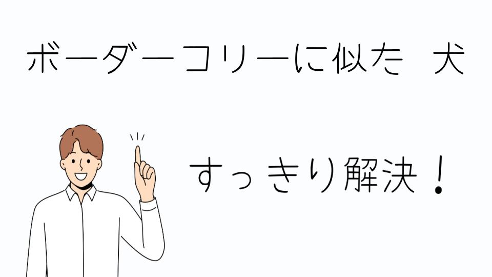 「ボーダーコリーに似た犬を選ぶポイント」