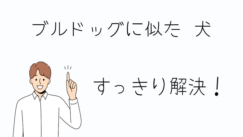 「ブルドッグに似た犬の種類とサイズ」