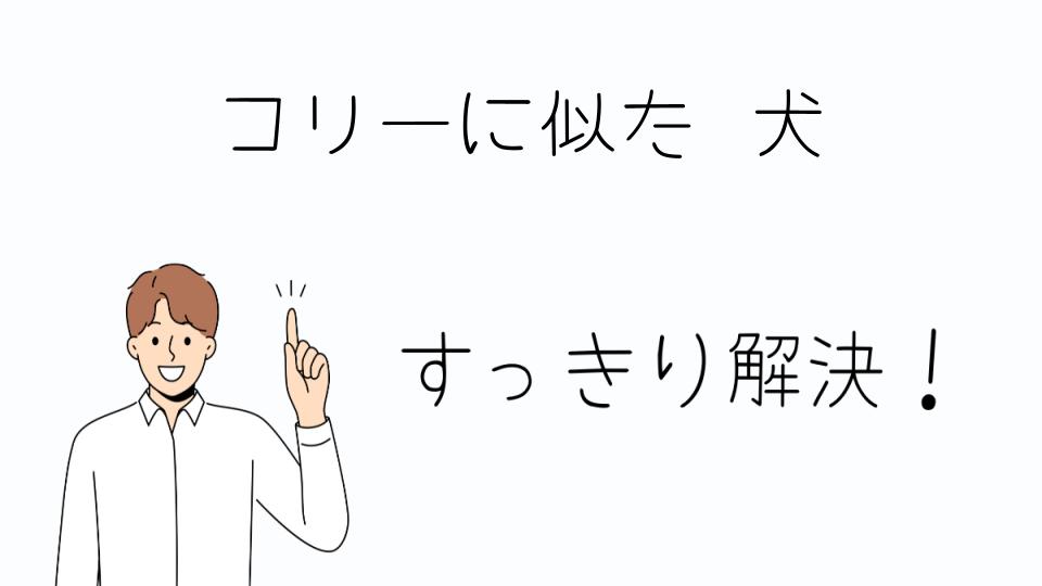 「コリーに似た犬を飼う前に知っておくべきこと」