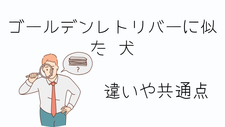 「ゴールデンレトリバーに似た犬の魅力とは」