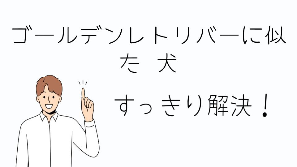 「ゴールデンレトリバーに似た犬を飼うメリット」
