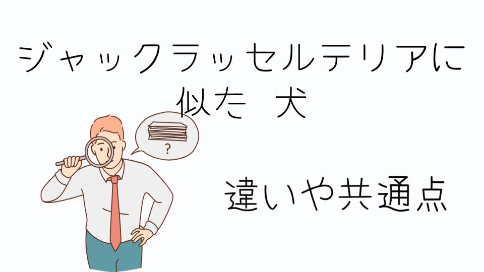 「ジャックラッセルテリアに似た犬とは?」