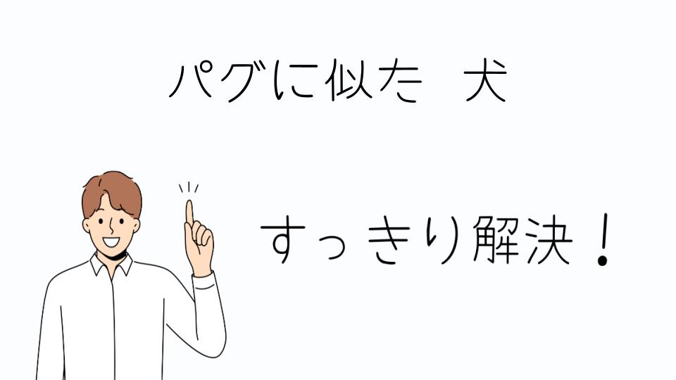 「パグに似た犬の選び方と飼い方」