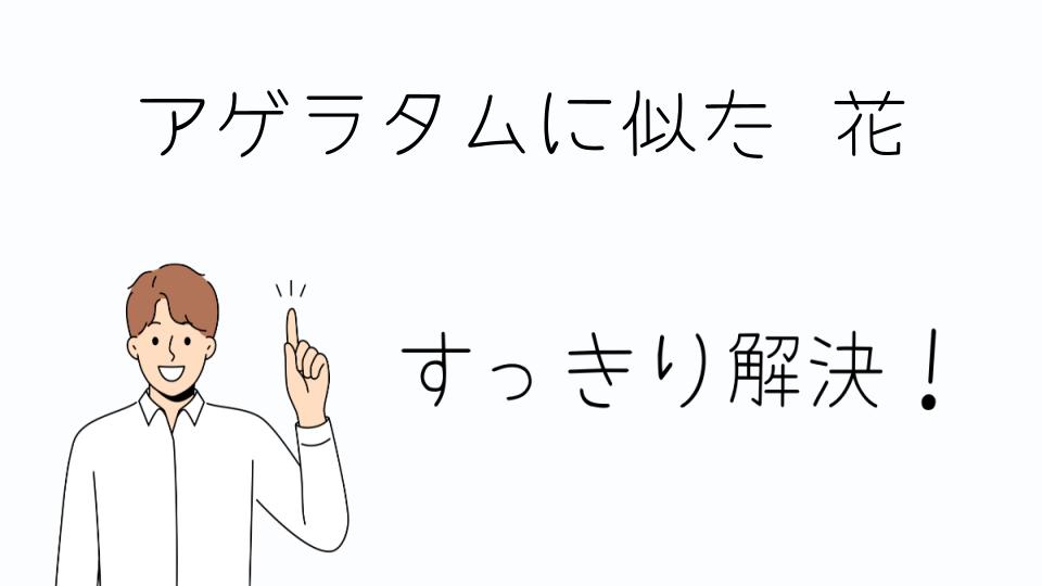 「アゲラタムに似た花の育て方とポイント」