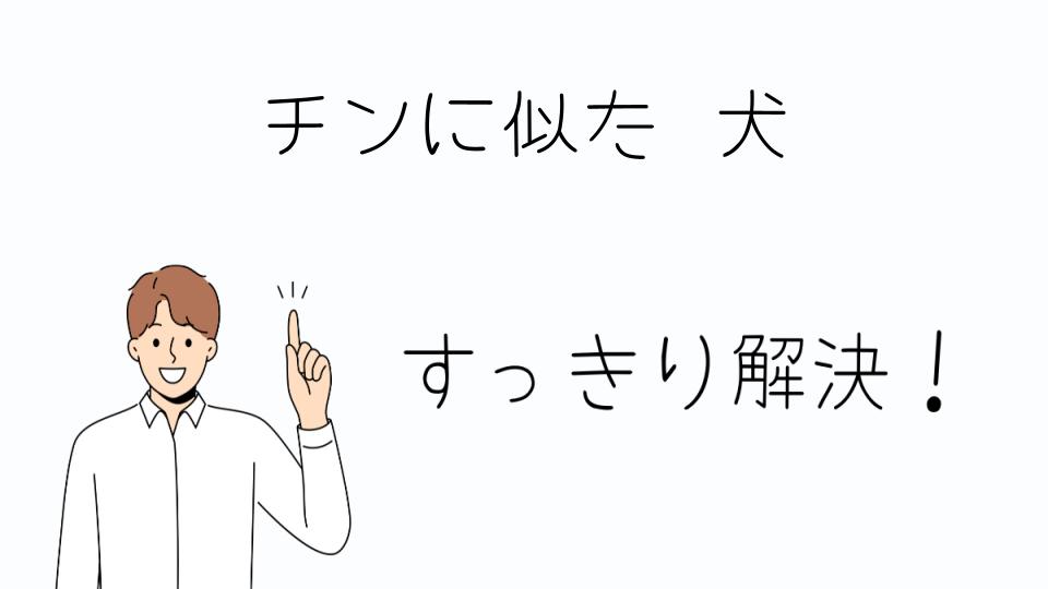 「チンに似た犬との生活を楽しむ方法」