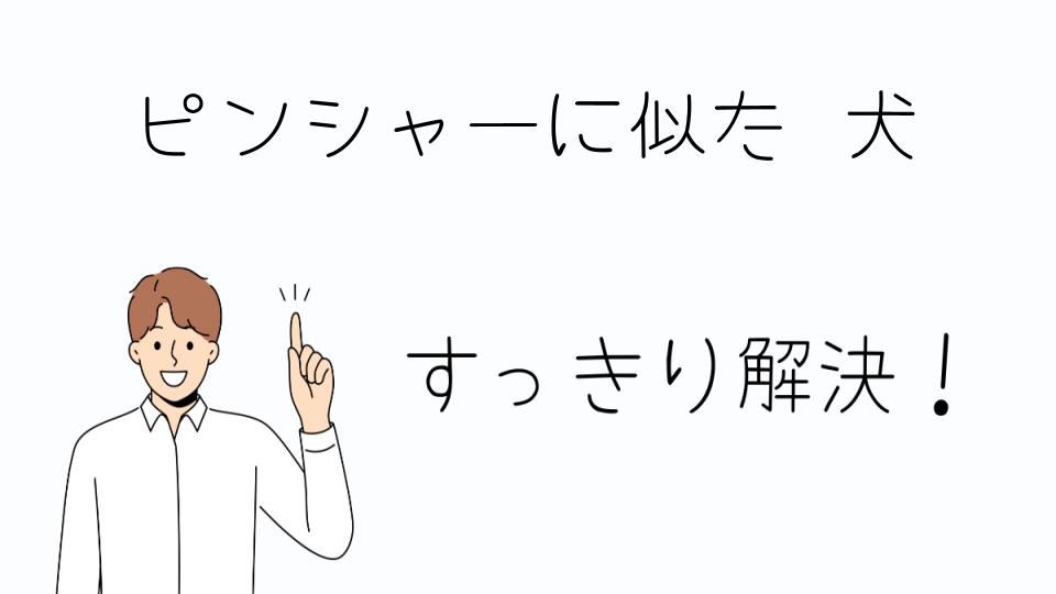 「ピンシャーに似た犬の人気犬種とその違い」
