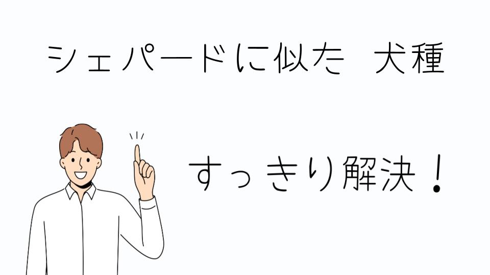 「シェパードに似た犬種を選ぶ理由とは」