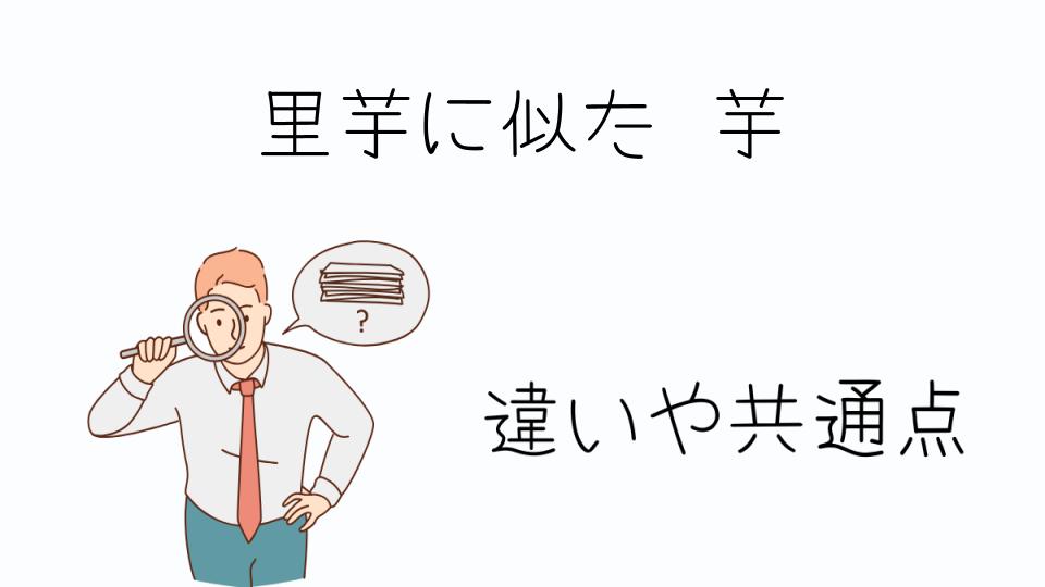 「里芋に似た芋の種類と特徴を知ろう」